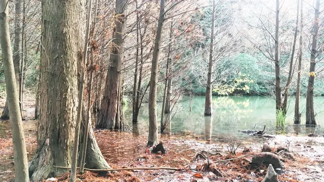 福岡ドライブ☆