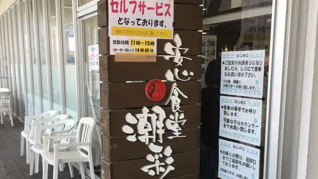 海鮮昼食と向島の寒桜