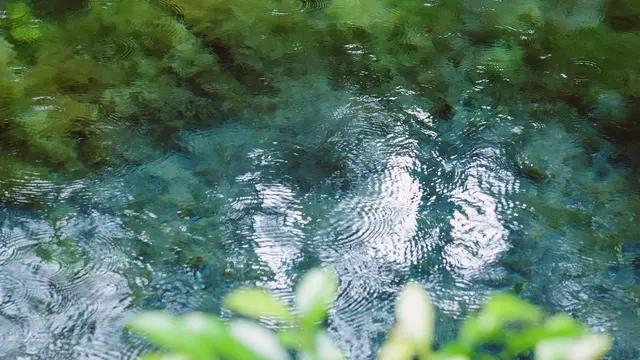 生まれたての水がキラキラ☆ 南阿蘇村の小さな旅