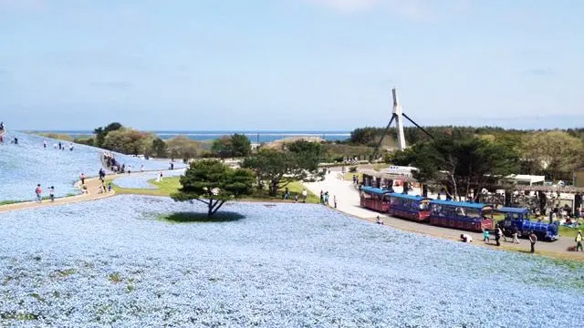 海うみ。元気がでるドライブデート！