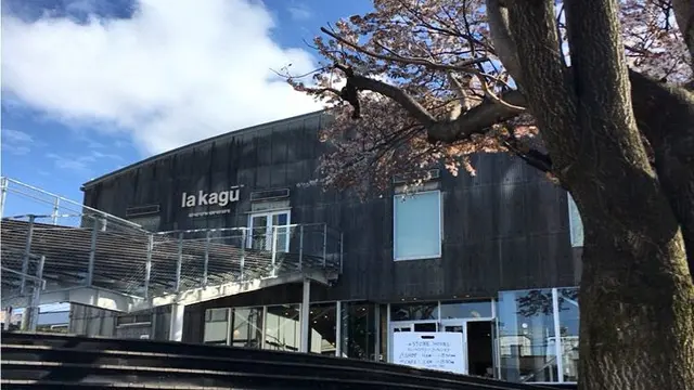 人混み苦手さんへ🌸のんびり桜デート神楽坂🌸