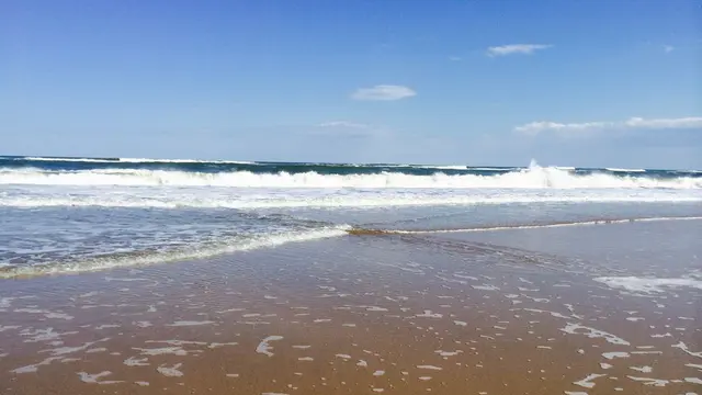 ランニングやウォーキングにオススメ!〜日立の海コース〜