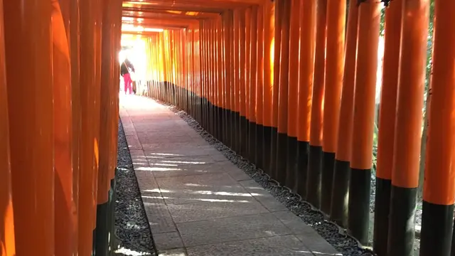 心が洗われる京都旅