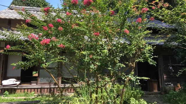 熊本の古民家でまったりしよう！