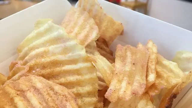 【伊豆】春の伊豆満喫ドライブ
