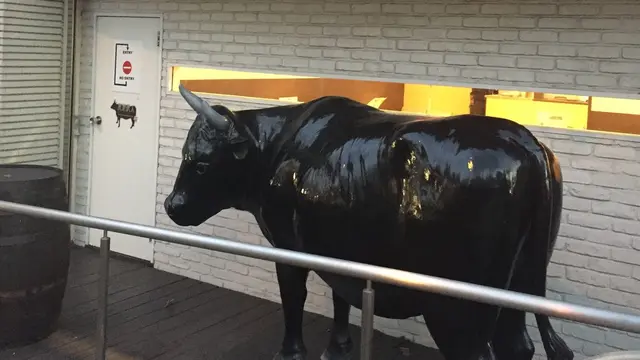 おいしくて☺︎ お財布にやさしい焼肉屋さん【随時更新】