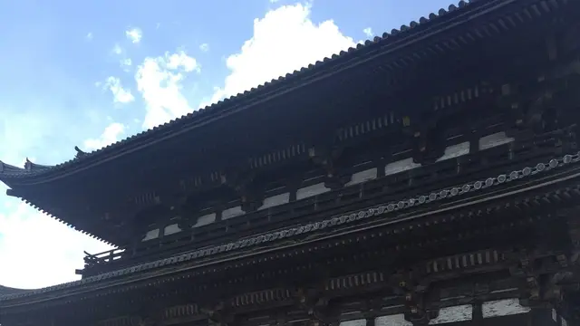 仁和寺の御室桜