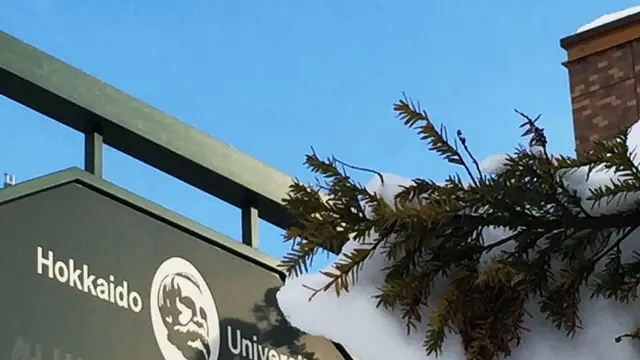 札幌でゴロゴロすればいいところ！