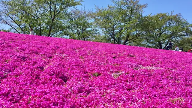 ピクニックにデートに…公園でのんびりっ♡ 東京のオススメ公園特集