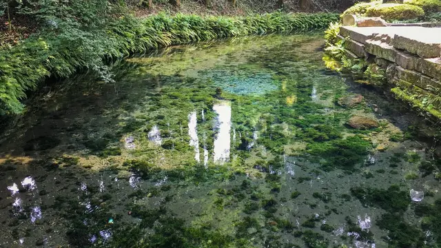 【阿蘇・小国郷 】人生のうるおいが足らない人は《水巡りの旅》でリセットしよう