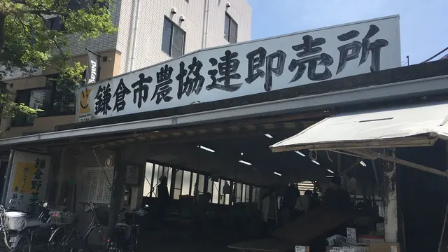 気ままお散歩旅 in 鎌倉〜北鎌倉