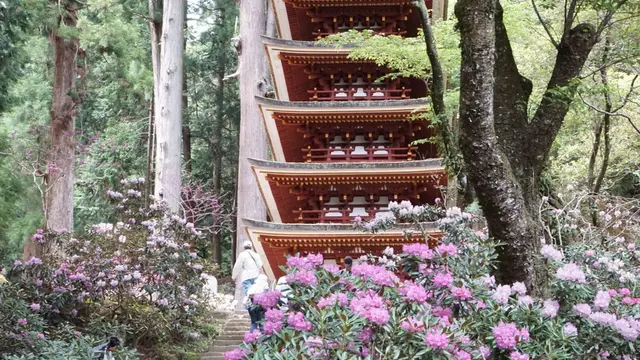 大和國奈良を旅します