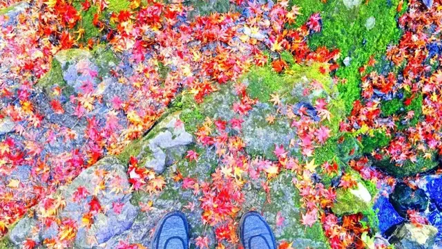 東京にこんなところが!?おすすめパワースポット【東京都檜原村】
