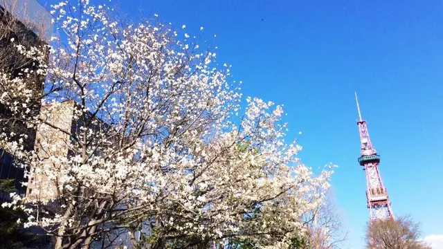 大通公園から、資料館巡り。