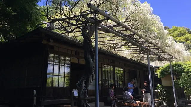 人混みを避けた鎌倉社寺巡り