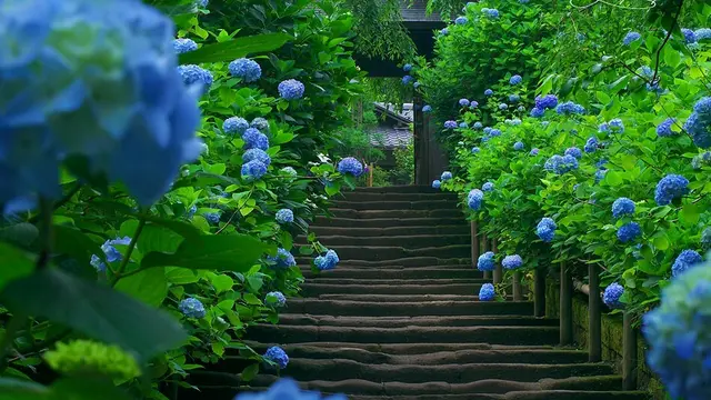 鎌倉、北鎌倉の魅力満載❤