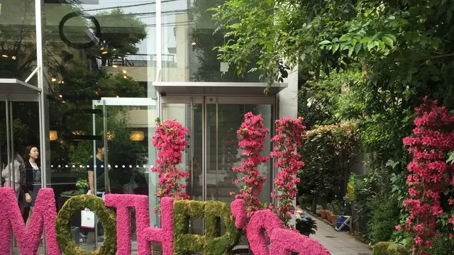 話題のお店に行ってみた【表参道】【青山】