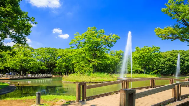 代々木公園から新宿ランチまで