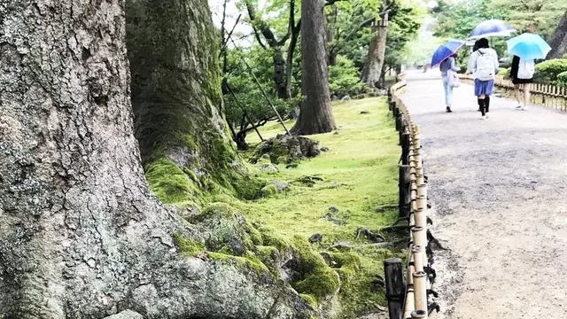 石川ファミリーキャンプと金沢観光