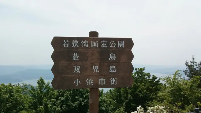 ぷちドライブ日記