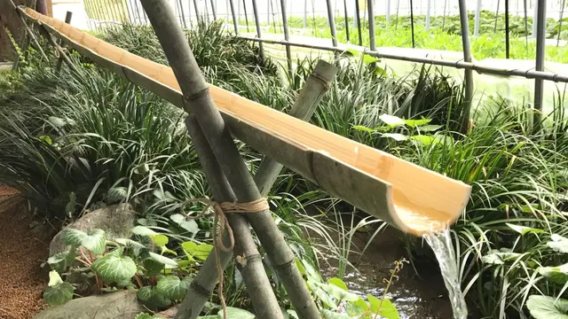 ★阿蘇の涼スポットまとめ★ 暑い夏を楽しい夏に!