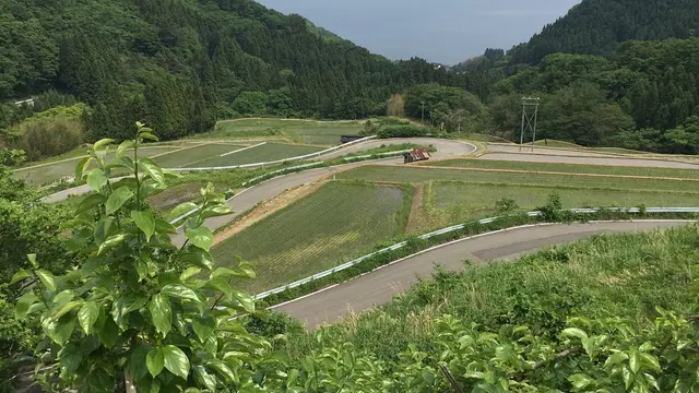 何もしない贅沢佐渡旅行