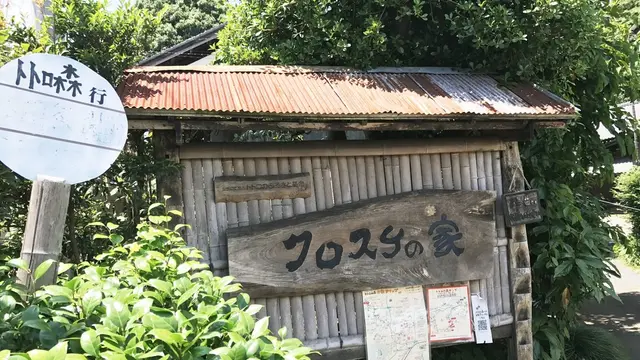 狭山湖 梅雨の晴れ間 のんびり散歩