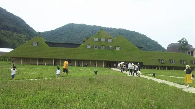 写真映えスポット巡りIN滋賀