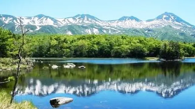 観て食べて体験も!体験型北海道ツアー