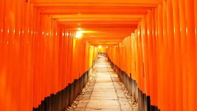 ミーハー京都巡り🍁