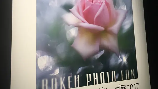 *ぶらりさんぽ▷展示会*