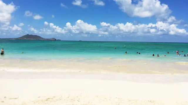 ハワイの人気スポットに行こう😎