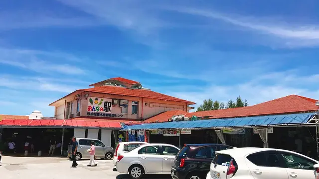 初めての沖縄観光✈️2泊3日で本島を満喫🏖 - 美ら海水族館とその周辺を満喫!編