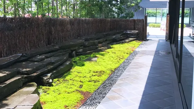 【青山・表参道・原宿】…SNS独占！「ブラックかき氷！？」×「和カフェ」＝進化系「和食」はコレ✍️
