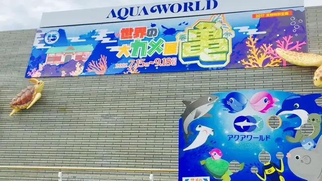海沿いドライブ