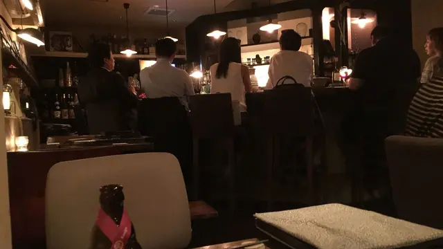 港区のBARなんだけど食事の美味しい店って大事！【更新中】