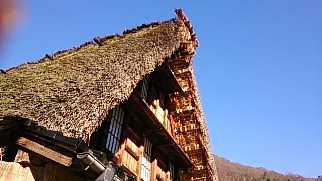 一泊白川郷から下呂温泉♨︎から郡上八幡までの旅🥰