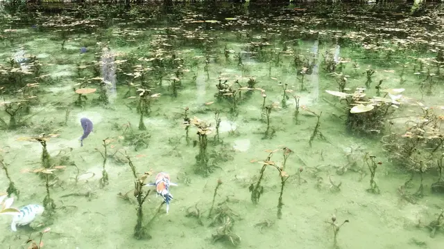 愛犬と岐阜満喫日帰り旅行