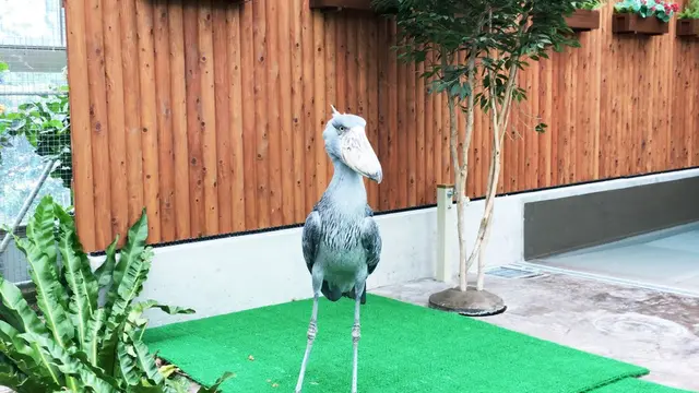 静岡県満喫