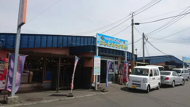 苫小牧～小樽  自然満喫プラ