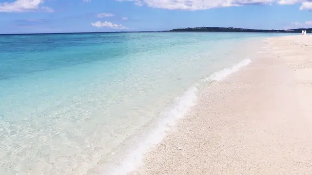 ハズレなし!沖縄の夏をFreeに楽しむ最強プラン🏖