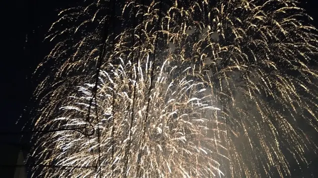 新潟で夏を満喫～海と花火とグルメを楽しむ