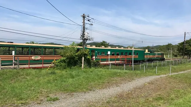 【北海道】夏の釧路の自然とグルメを楽しむ🍴