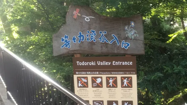 ぶらり等々力渓谷の旅