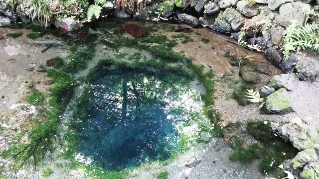 まったり日帰り山梨ドライブ🚗