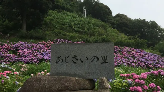三河デート
