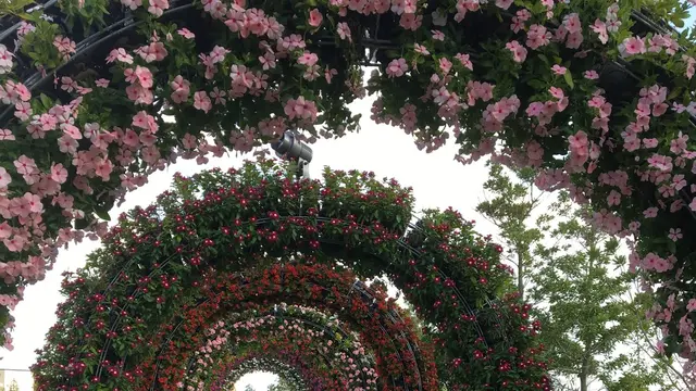 蒲郡おでかけ