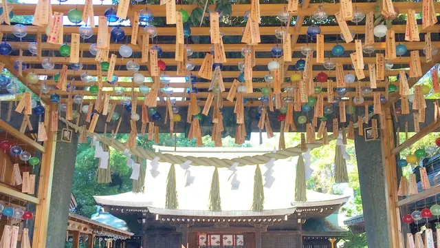 縁結び御利益の川越氷川神社、川越八幡宮で御朱印と小江戸川越を楽しむならレンタルサイクルが超オススメ!