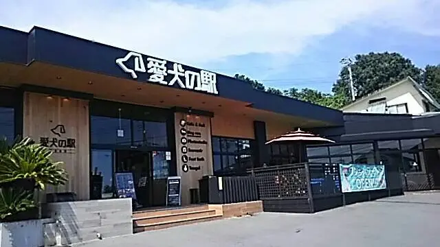 愛犬と行く伊豆ドライブ♪