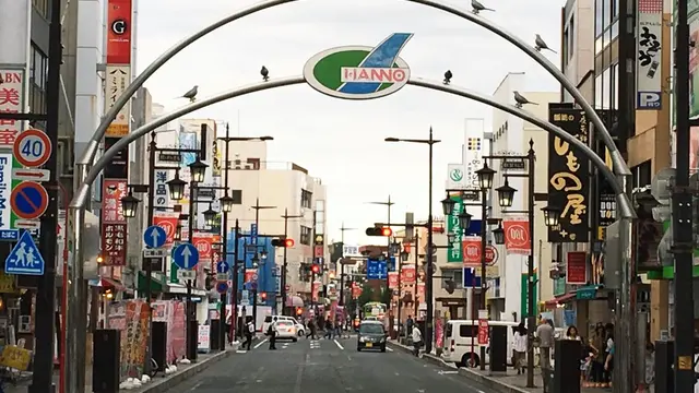 歩け！彼岸花日帰り散策